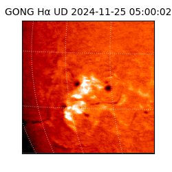 gong - 2024-11-25T05:00:02