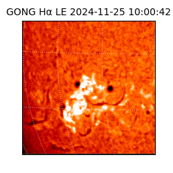 gong - 2024-11-25T10:00:42