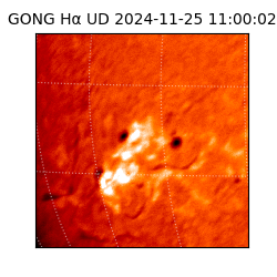 gong - 2024-11-25T11:00:02