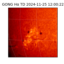 gong - 2024-11-25T12:00:22