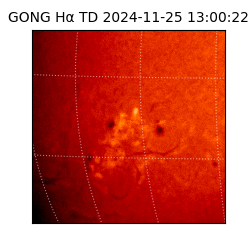 gong - 2024-11-25T13:00:22