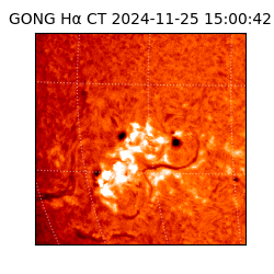 gong - 2024-11-25T15:00:42