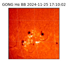 gong - 2024-11-25T17:10:02