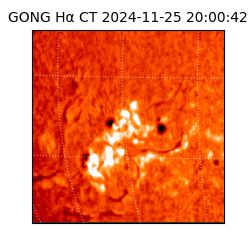 gong - 2024-11-25T20:00:42