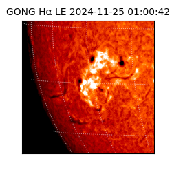 gong - 2024-11-25T01:00:42