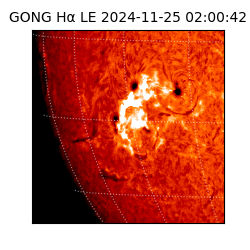 gong - 2024-11-25T02:00:42