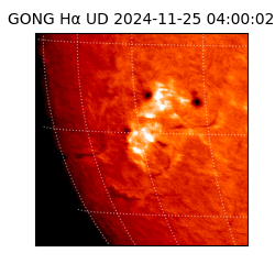 gong - 2024-11-25T04:00:02