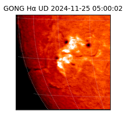 gong - 2024-11-25T05:00:02