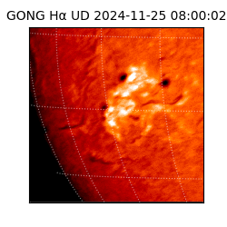 gong - 2024-11-25T08:00:02