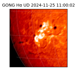 gong - 2024-11-25T11:00:02