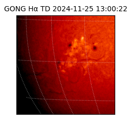 gong - 2024-11-25T13:00:22