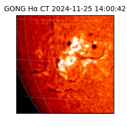 gong - 2024-11-25T14:00:42