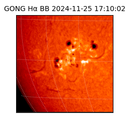 gong - 2024-11-25T17:10:02