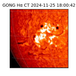 gong - 2024-11-25T18:00:42
