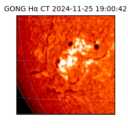 gong - 2024-11-25T19:00:42