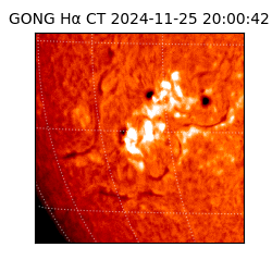 gong - 2024-11-25T20:00:42