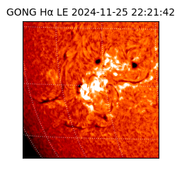 gong - 2024-11-25T22:21:42