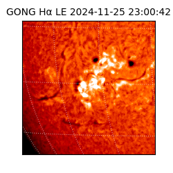 gong - 2024-11-25T23:00:42