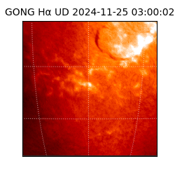 gong - 2024-11-25T03:00:02