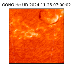 gong - 2024-11-25T07:00:02