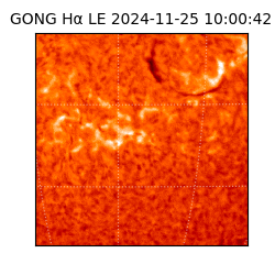 gong - 2024-11-25T10:00:42