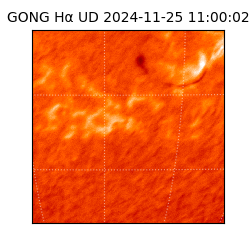 gong - 2024-11-25T11:00:02