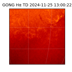 gong - 2024-11-25T13:00:22
