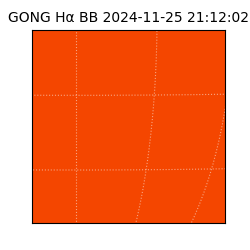 gong - 2024-11-25T21:12:02