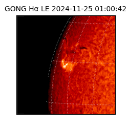 gong - 2024-11-25T01:00:42