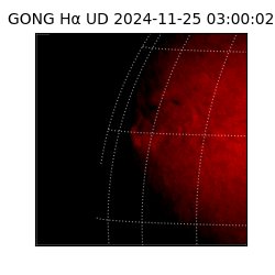 gong - 2024-11-25T03:00:02