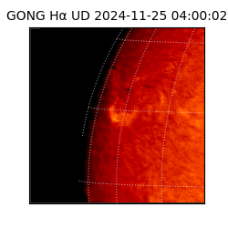 gong - 2024-11-25T04:00:02