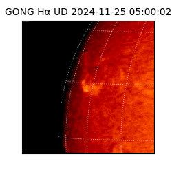 gong - 2024-11-25T05:00:02