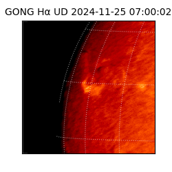 gong - 2024-11-25T07:00:02