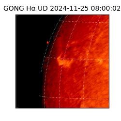 gong - 2024-11-25T08:00:02