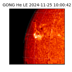 gong - 2024-11-25T10:00:42