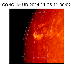 gong - 2024-11-25T11:00:02