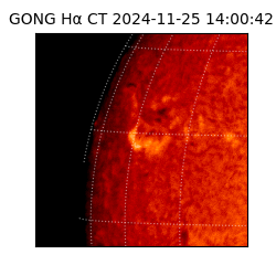 gong - 2024-11-25T14:00:42