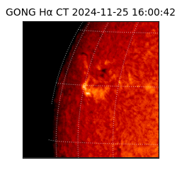 gong - 2024-11-25T16:00:42