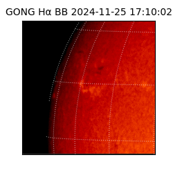 gong - 2024-11-25T17:10:02