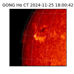 gong - 2024-11-25T18:00:42