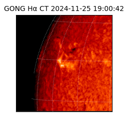gong - 2024-11-25T19:00:42