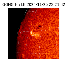 gong - 2024-11-25T22:21:42
