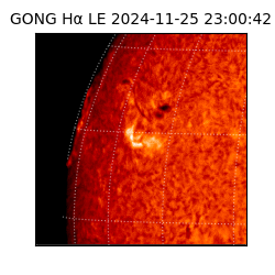 gong - 2024-11-25T23:00:42