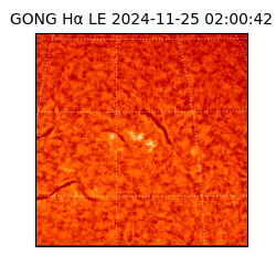 gong - 2024-11-25T02:00:42