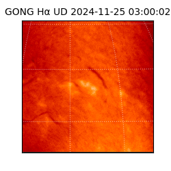 gong - 2024-11-25T03:00:02