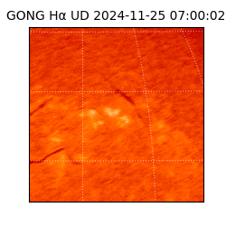 gong - 2024-11-25T07:00:02