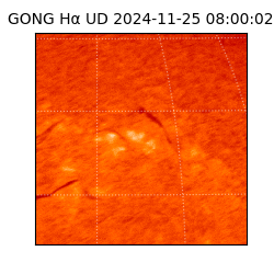 gong - 2024-11-25T08:00:02