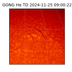 gong - 2024-11-25T09:00:22