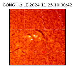 gong - 2024-11-25T10:00:42