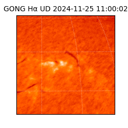 gong - 2024-11-25T11:00:02